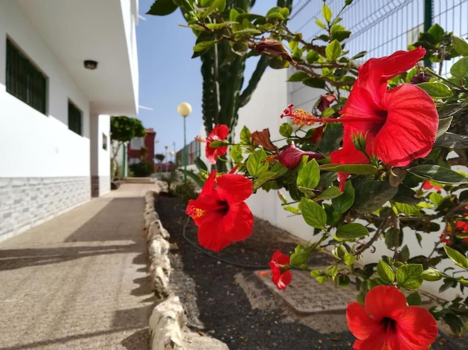 Casa Azul Διαμέρισμα Costa De Antigua Εξωτερικό φωτογραφία