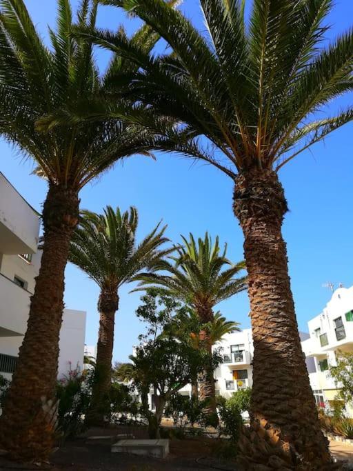 Casa Azul Διαμέρισμα Costa De Antigua Εξωτερικό φωτογραφία