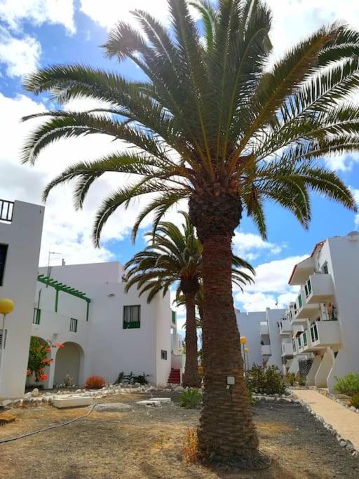 Casa Azul Διαμέρισμα Costa De Antigua Εξωτερικό φωτογραφία